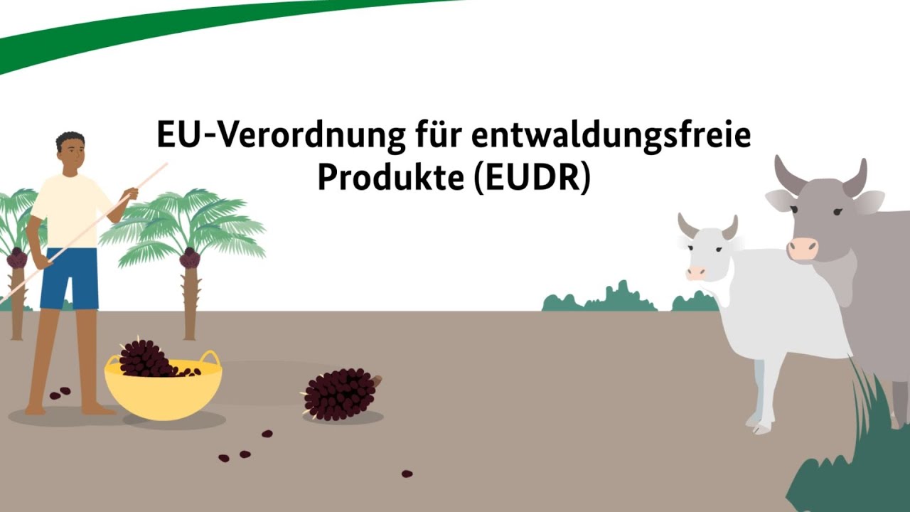 Person, Kuh, Säugetier, Pflanze, Baum
