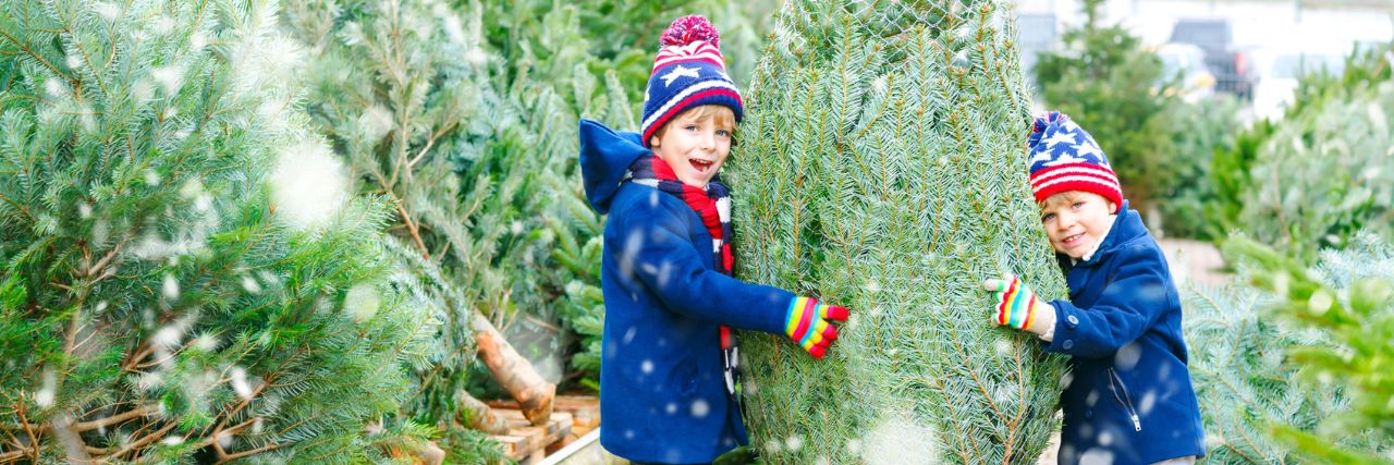 A&J Weihnachtsbaum-Verkauf – Jedes Jahr kleine und große Nordmanntannen zu günstigen Preisen » Zwei Kinder umarmen im Schneegestöber einen eingenetzten Weihnachtsbaum. Dahinter sind noch mehr Weihnachtsbäume zur Auswahl zu sehen.