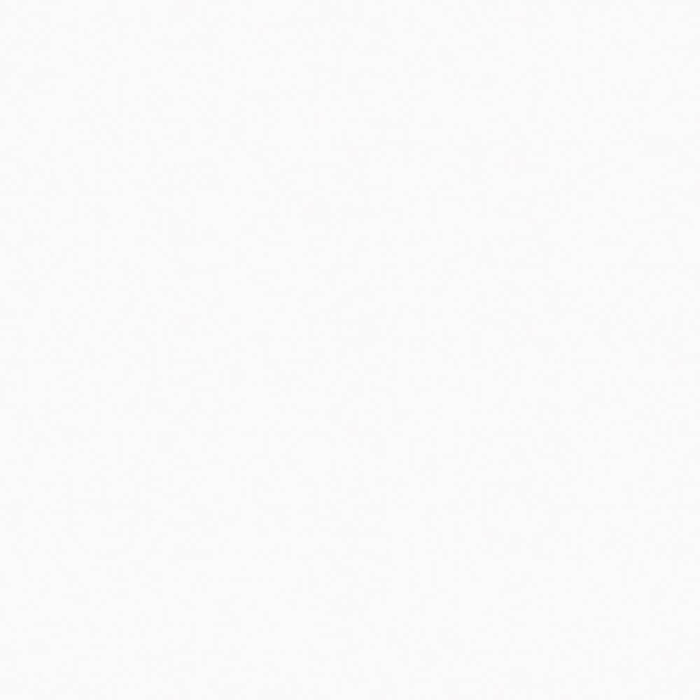 W1300 ST9 Polarweiss Egger Schichtstoff