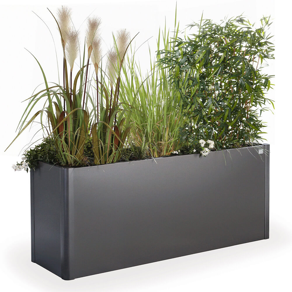 9003414159471_Belvedere_200MAXI_dunkelgrau_Anwendungsbeispiel